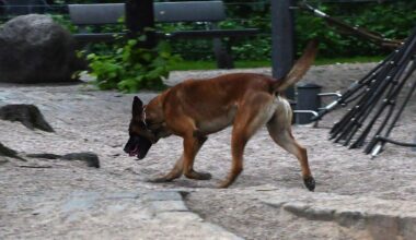 Kleinkind schluckt Drogen – schwer verletzt