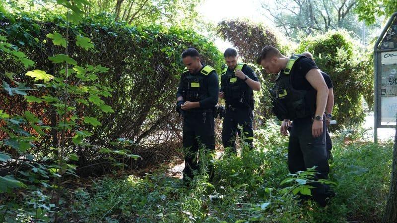 Polizisten sichern Spuren im Volkspark Humboldthain in Berlin: Ein Mann wurde festgenommen.