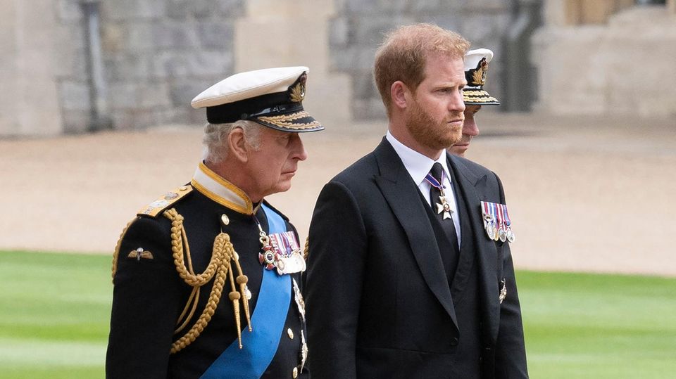 Prinz Harry und König Charles