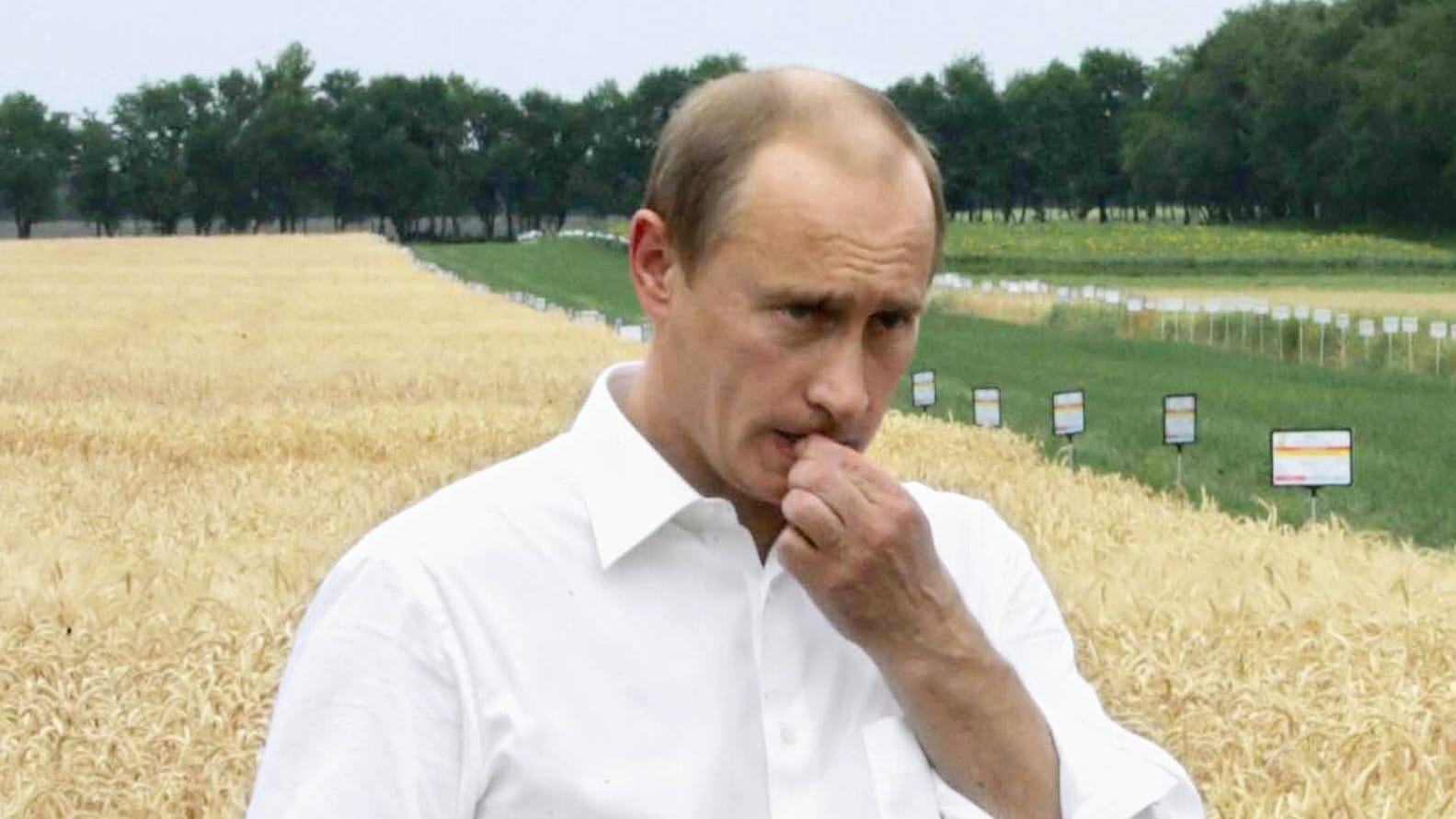 Putin 2007 im Weizenfeld: Die Ukraine ist auf dem Weltmarkt ein wichtiger Lieferant für Getreide - so wie Russland.