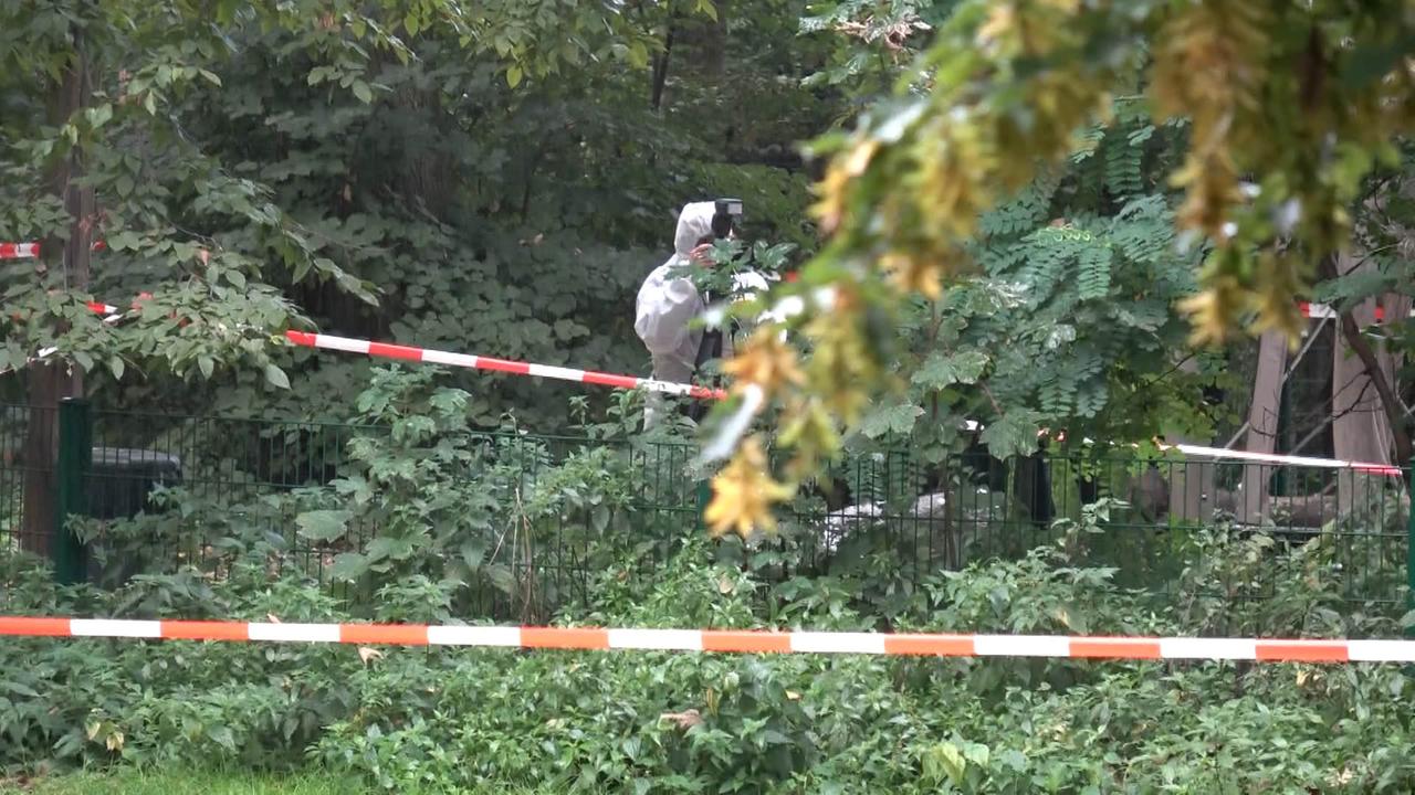Berlin: Verbrannte Frauenleiche auf Spielplatz in Berlin-Gesundbrunnen gefunden