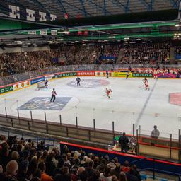 Der ausverkauft Wellblechpalast im CHL-Spiel der Eisbären gegen Sheffield. (Bild: IMAGO / Matthias Koch) Shell