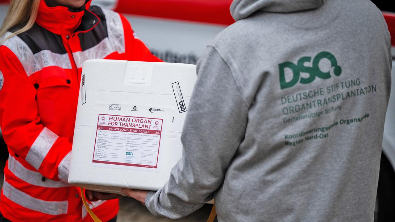 Brandenburg Berlin: Zahl der gespendeten Organe in Berlin und Brandenburg gesunken