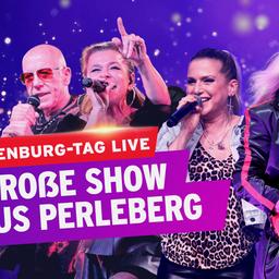 v.l.n.r.: Toni Krahl und Julia Neigel von Silly, Jeanette Biedermann, Bernd Römer von der Band Karat treten bei der großen Show aus Perleberg am Brandenburg-Tag live auf.
