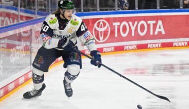 DEL: Historisch, hitzig, heikel - Eisbären gehen in Mannheim unter