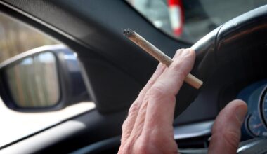 Berlin: Berlin will strengere Cannabis-Grenzwerte für Autofahrer