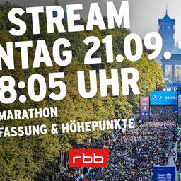 Tausende Läufer gehen beim Berlin-Marathon an den Start (Quelle: imago images/Funke Foto Services)