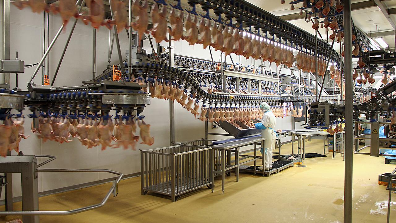 Brandenburg: Niederlehme: Geflügelschlachter will Produktion in Königs Wusterhausen fast verdoppeln