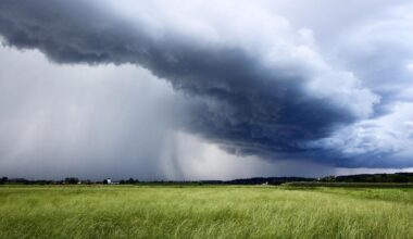 Brandenburg Berlin: Nach mildem Sonntag stürzen am Montag die Temperaturen