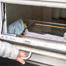 Blick auf die Babyklappe (Quelle: dpa/Uli Deck)