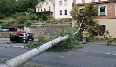 FW Dresden: Informationen zum Einsatzgeschehen von Feuerwehr und Rettungsdienst in der ...