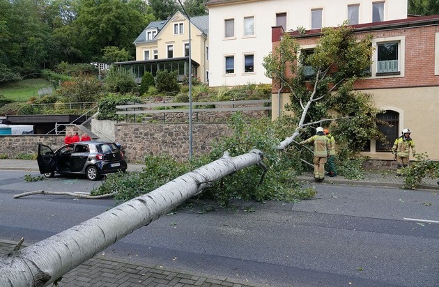 FW Dresden: Informationen zum Einsatzgeschehen von Feuerwehr und Rettungsdienst in der ...