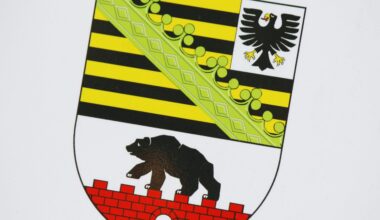 Mehr Anträge auf Anerkennung ausländischer Berufsabschlüsse in Sachsen-Anhalt