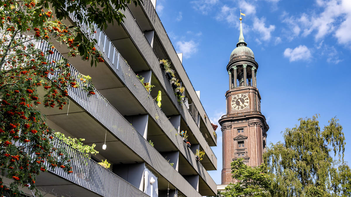 Zukunftsentscheid Hamburg: Das Märchen vom Klimaschutz, der nichts kostet - WELT