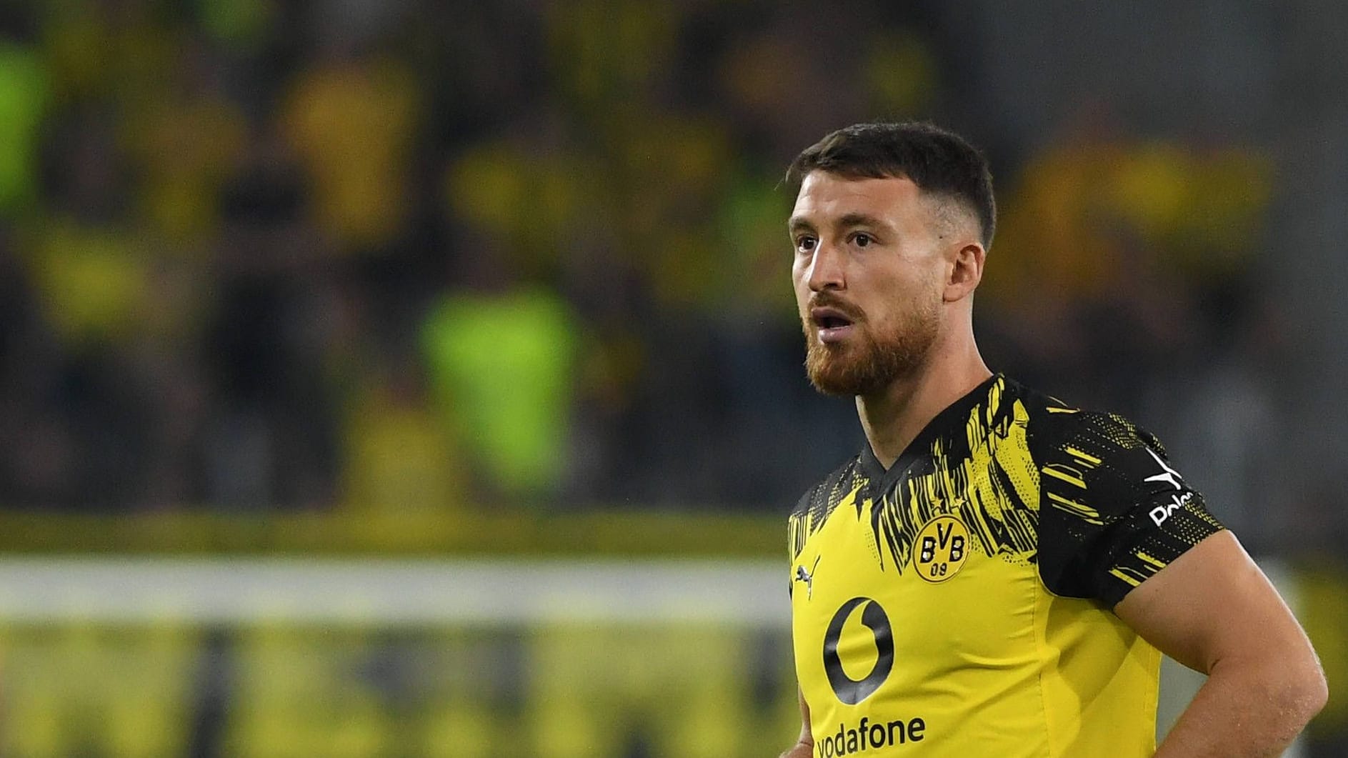 Salih Özcan: Er wurde in der Jugend des 1. FC Köln ausgebildet.