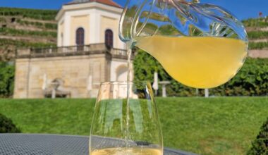 Neue Ernte: Federweißerfest am Schloss Wackerbarth