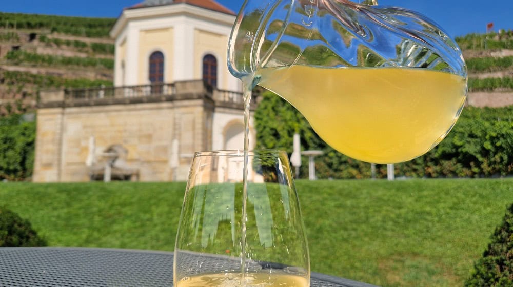 Neue Ernte: Federweißerfest am Schloss Wackerbarth