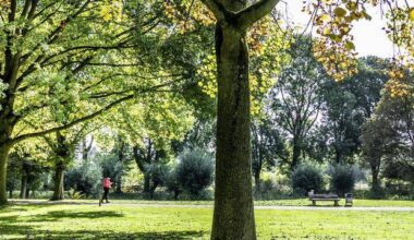 Neue Kunstschlange Moxie im Moerser Schlosspark