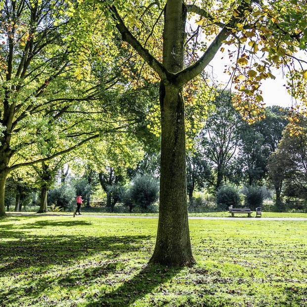 Neue Kunstschlange Moxie im Moerser Schlosspark
