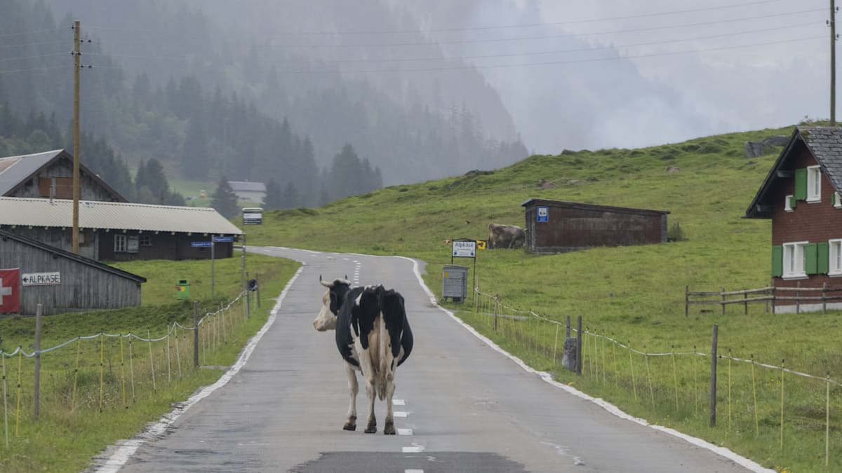Auswandern: Das sind die Top 10 der Ziele in Europa für die Deutschen