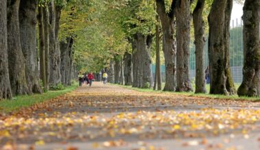 Warum Augsburg zu den besten Städten für Freizeitaktivitäten an der frischen Luft zählt