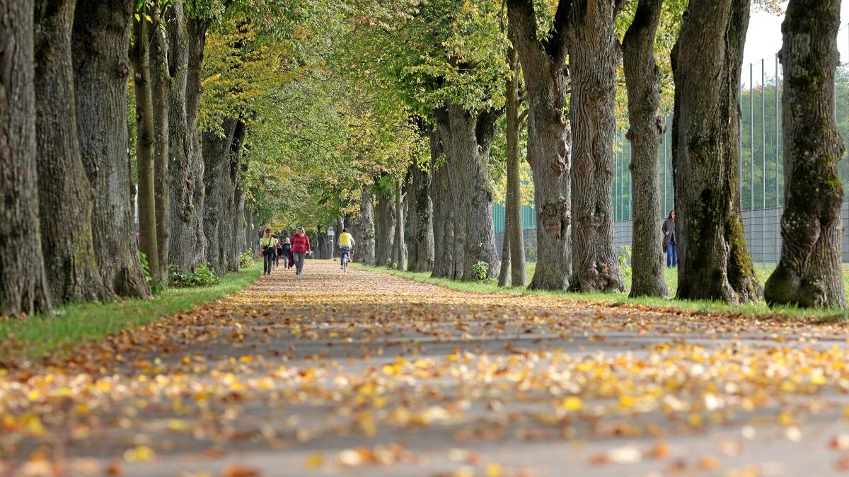 Warum Augsburg zu den besten Städten für Freizeitaktivitäten an der frischen Luft zählt