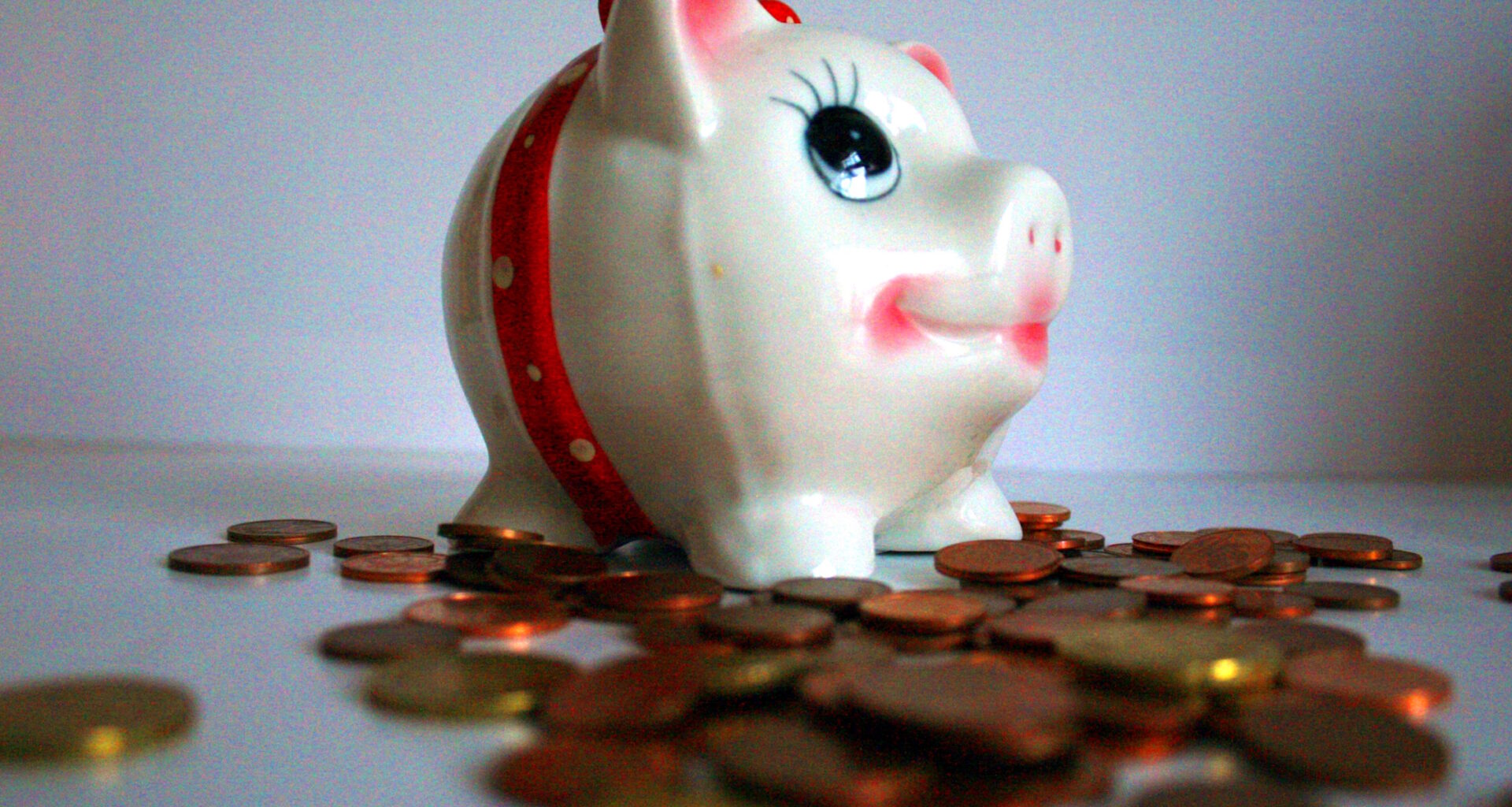 Schon mehr als 15.000 Euro eingegangen · Leipziger Zeitung