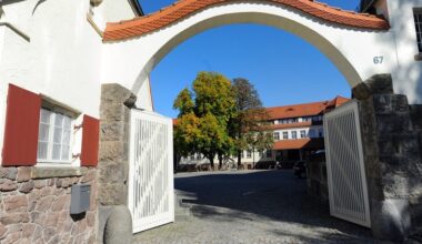 Neue Stromtrasse für Chipindustrie durch Dresdner Heide