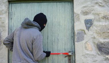 Mutmaßlichen Dieb in Radebeul gestellt
