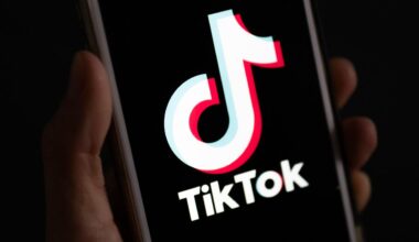 Trump-Interview: US-Top-Manager sollen bei TikTok einsteigen