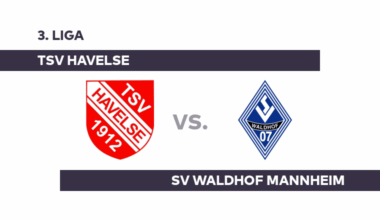 TSV Havelse - SV Waldhof Mannheim: Gewollt: der erste Heimsieg - 3. Liga