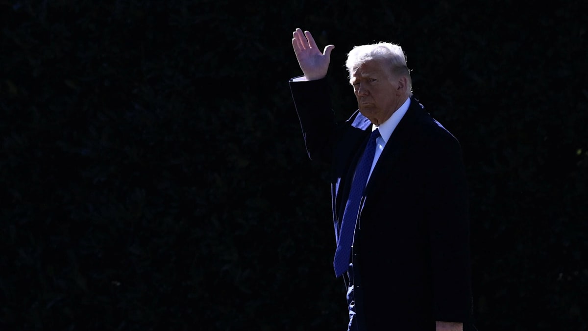 Donald Trump: Warum Amerikas Demokratie nicht sterben wird