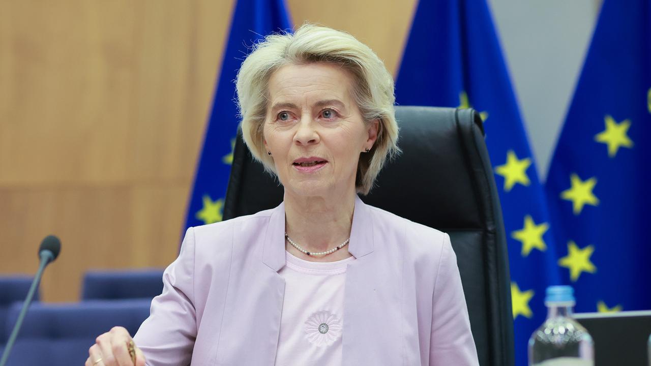 EU erleichtert über Wahlergebnis in Moldau