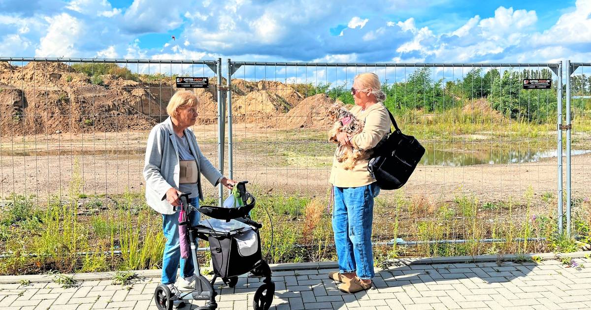 "Vorzeige-Wohnprojekt" Seestadt - Mieter sind frustriert