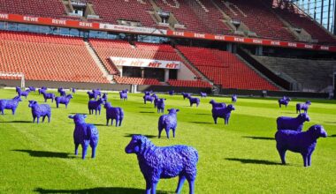 Blaue Friedensherde im Kölner Stadion