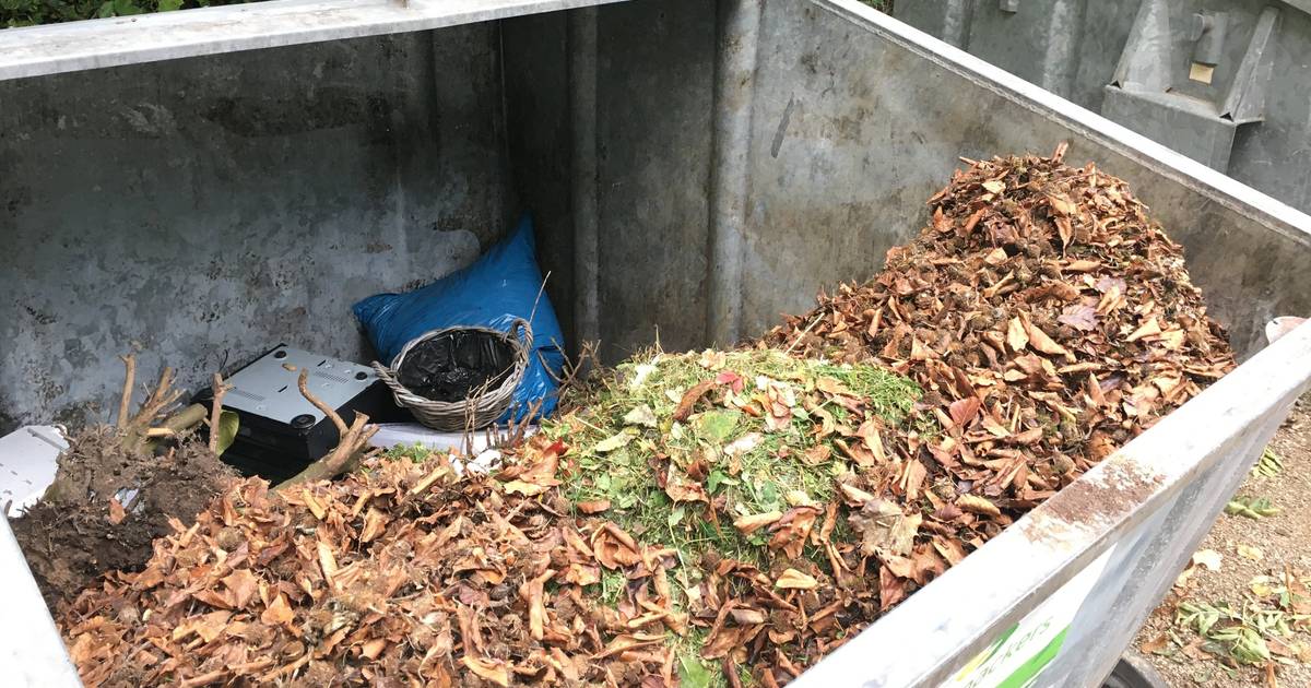 Sammelboxen für das Laub von Stadtbäumen