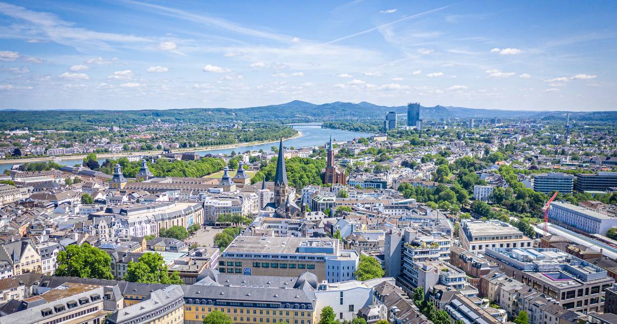 Die Analyse und wichtige Infos