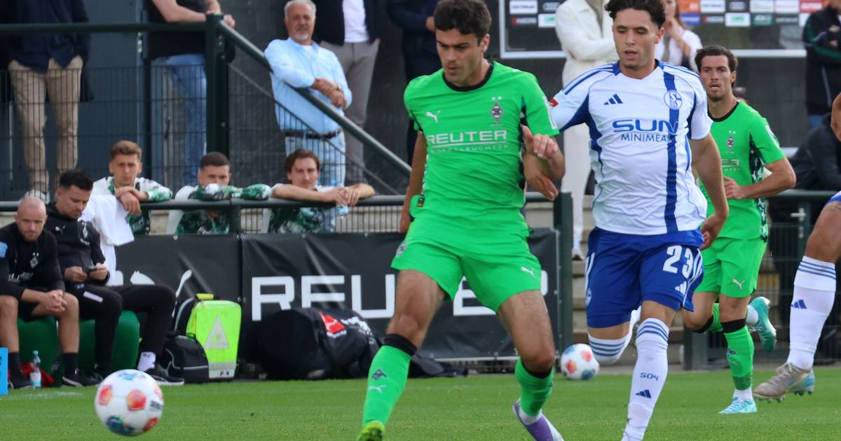 Borussia Mönchengladbach - FC Schalke 04: Live-Ticker zum 2:0-Sieg