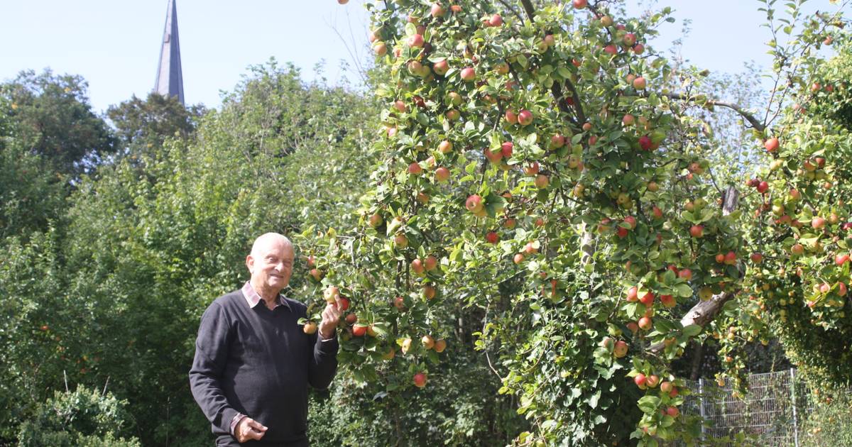 Nabu-Experiment: Mediterranes Obst aus Viersen