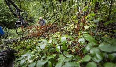 Ärger um Wildschwein-Zaun in Garath spitzt sich zu – Förster repariert nun selbst