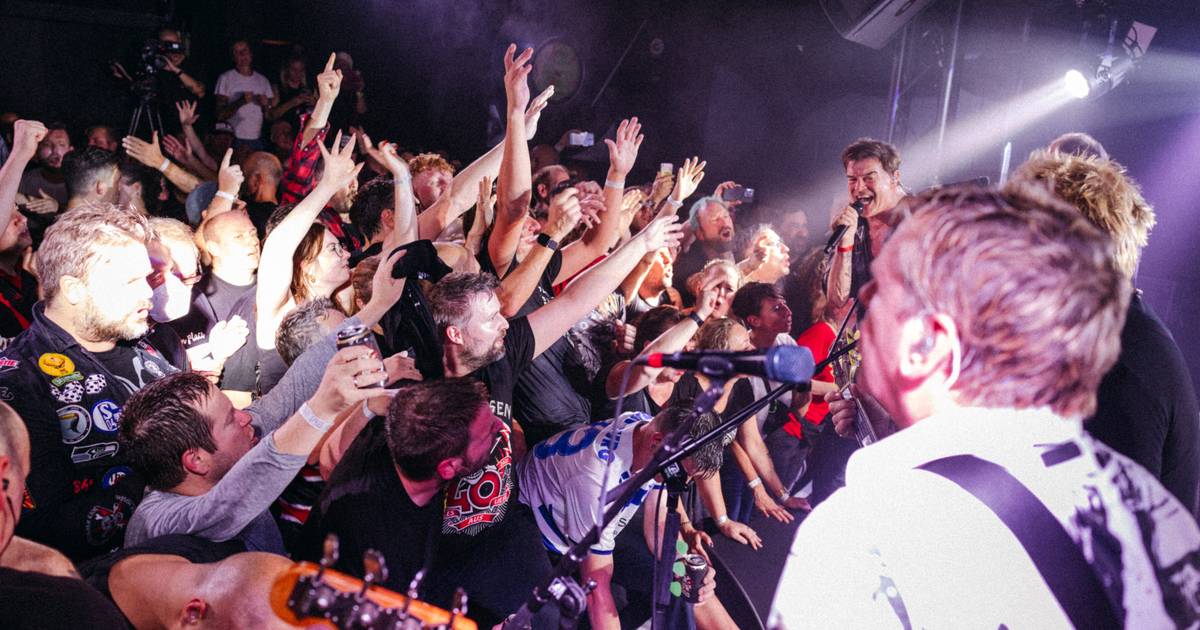 Vorbands der „Toten Hosen“ stehen fest