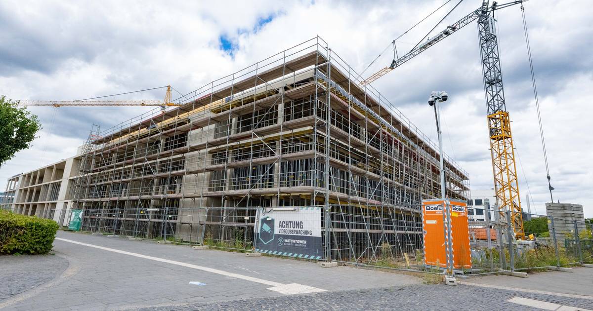 Gebäude für Uni und Museum Koenig bald fertig