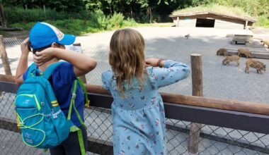 Großes Familienfest im Wildpark im Grafenberger Wald