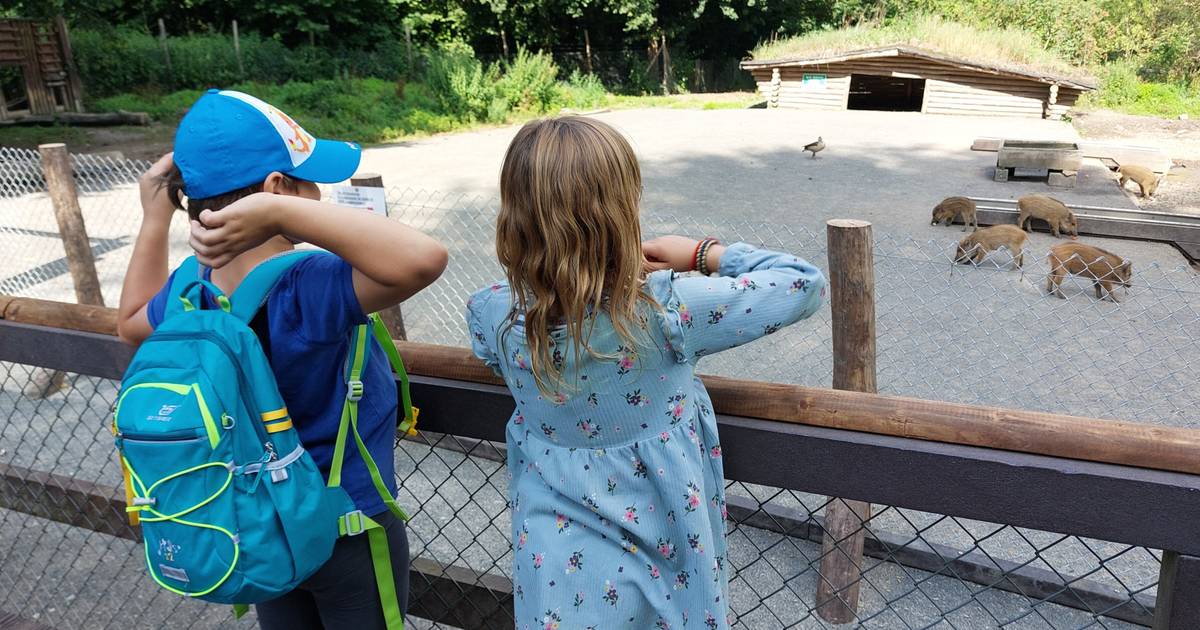 Großes Familienfest im Wildpark im Grafenberger Wald