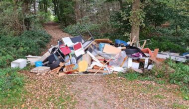 Illegal halben Hausstand im Wald entsorgt