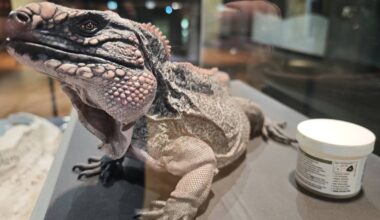 Düsseldorf: Die toten Tiere des Aquazoos