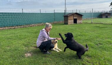 Hundehotel Eiköter ist bis Ende des Jahres ausgebucht