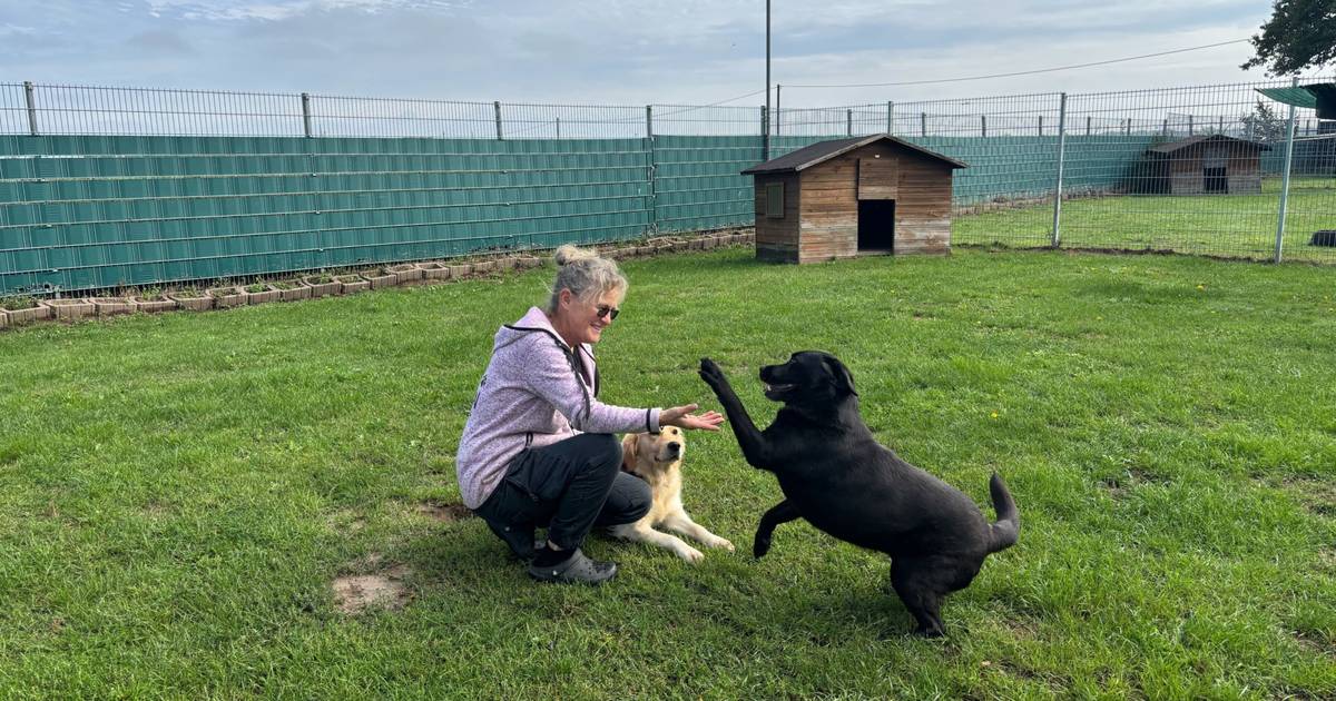Hundehotel Eiköter ist bis Ende des Jahres ausgebucht