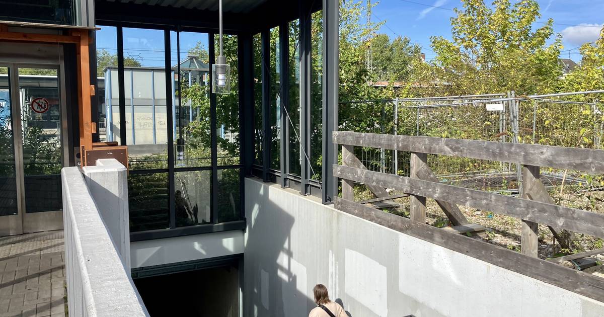 Vordach für über 350.000 Euro – Kritik an Plänen der Stadt Solingen