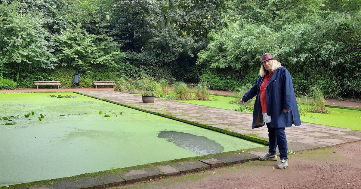 Teiche im Botanischen Garten mit toten Fröschen und Vogelkadavern
